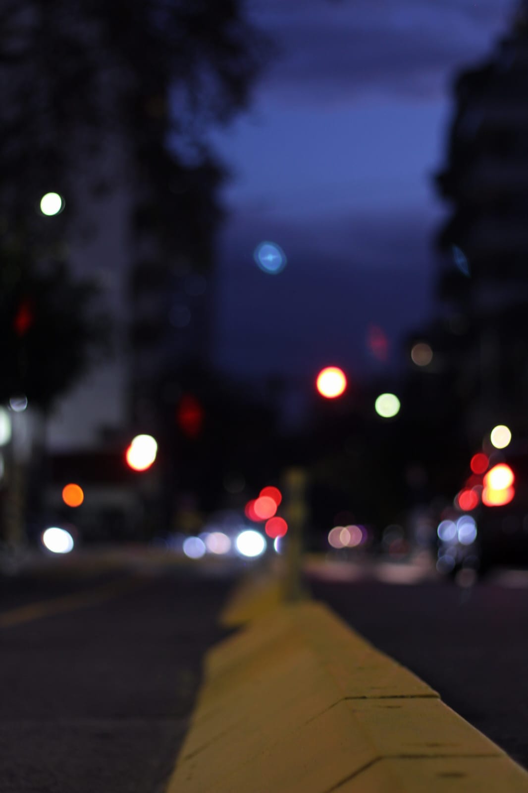 Descripción de la imagen